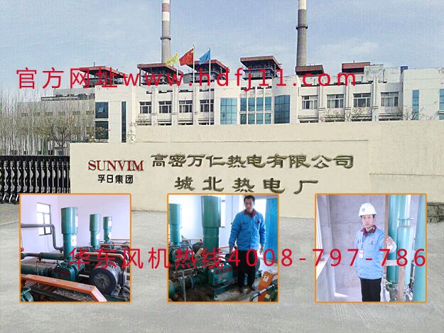 電力行業用羅茨風機