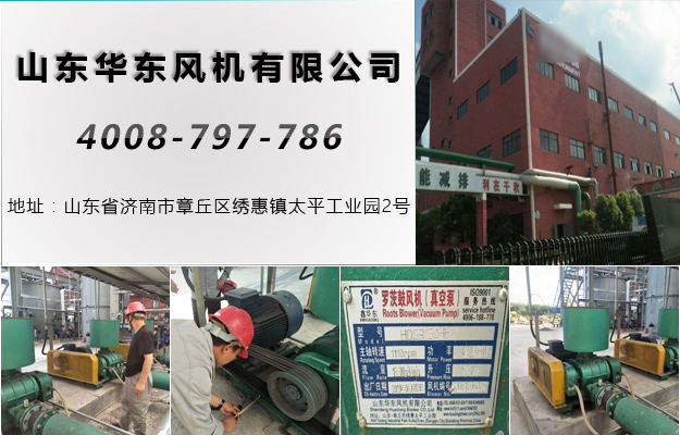 華東浙江羅茨風機案例-浙江***環保**股份有限公司